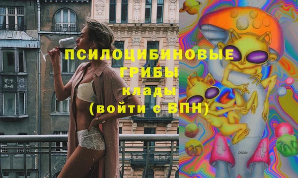 марки lsd Абаза