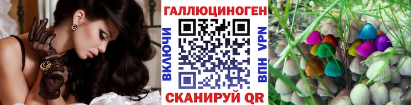 Псилоцибиновые грибы Psilocybe  где продают   Энгельс 