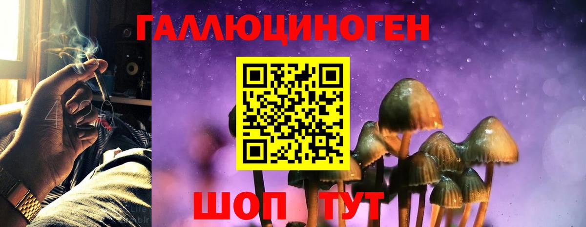 Энгельс  Галлюциногенные грибы Magic Shrooms  Вход с VPN  Галлюциногенные грибы мицелий 